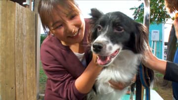 野呂佳代が相葉雅紀と保護犬のトリミングに挑戦！番組史上初となる母犬への施術は時間との闘い