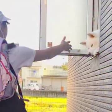 小学校に行く女の子→秋田犬がお見送りとお出迎えをしてくれて…愛情のこもった『日常の風景』に反響「幸せ過ぎる」「大好きなんだ」と5万再生