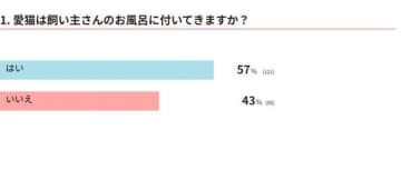 愛猫はお風呂に付いてきますか？飼い主さんの体験談＆獣医師解説