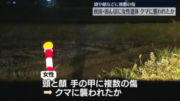 田んぼに倒れた女性…死亡確認　クマに襲われたか　秋田・鹿角市