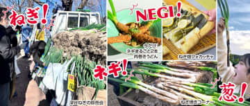 ＜道の駅おがわまち＞11月22日～24日・29日・30日の限定開催！ネギで、ネギらう、ネギ尽くしの5日間【埼玉県産深谷ねぎ大収穫祭】　～ 限定メニューで美味しさ新発見！深谷ねぎ「即売会」に、焼く・食べるの「ねぎ焼きコーナー」も ～