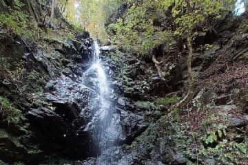 「何これ怖い」　ハイキング中に謎の白い物体を発見→キノコかと思い近づくと…　東京の滝で撮影された不思議な光景に6.5万“いいね”
