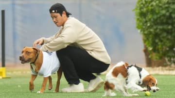 「友達はデコピン」の山本由伸の愛犬・カルロス　メディア初お披露目では大谷翔平にもなつく愛きょうっぷり