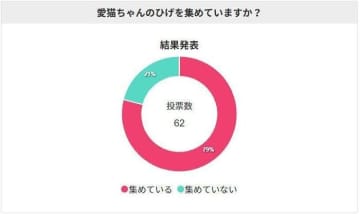 『猫の「ひげ」集めてる？』ねこのきもち読者さんに聞いた収集方法も紹介