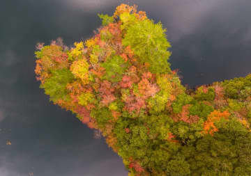 Mini 5 Pro、“紅葉前夜”のテストフライト──静けさの中で見えた進化[田路昌也の中国・香港ドローン便り]Vol.58