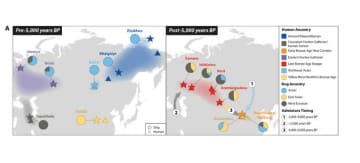 中国の科学者、家犬と人類の約1万年に及ぶ共同移動の歴史を判明