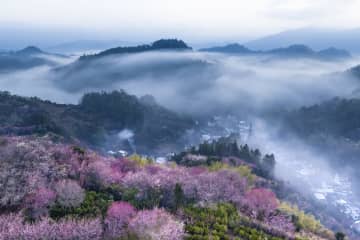 中国共産党4中全会　用語解説（6）　主体機能区戦略