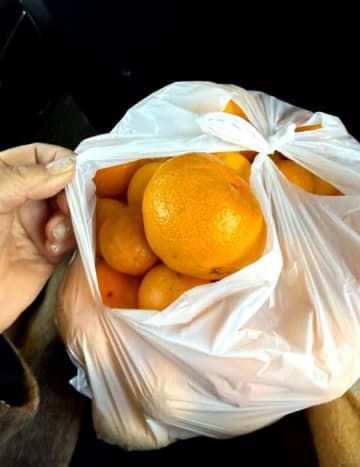 北斗晶、ロケ先でのファンとの交流に感激「凄く甘くてオドロキでしたー」