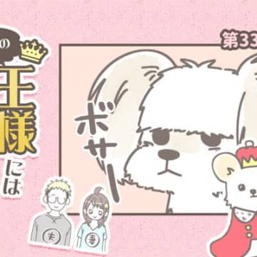 うちの王様にはどうしても抗えない【第330話】「ポツン鼻」