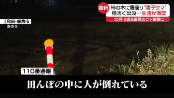 秋田でクマに襲われたとみられる女性遺体見つかる　岩手の住宅地では柿の木に居座る“親子クマ”も…