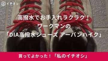 【ワークマン】軽登山にもはけるのに1000円以下って安すぎ！「DIA高撥水シューズ アーバンハイク」（50代男性）
