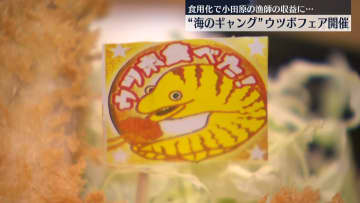 「海のギャング」ウツボフェア開催　漁師や飲食店が参加　神奈川・小田原市