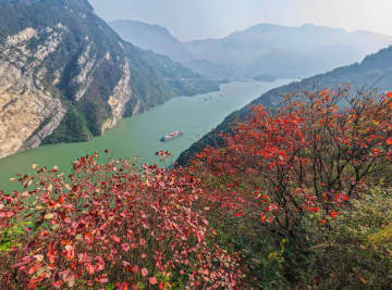 中国各地に色鮮やかな初冬の景色