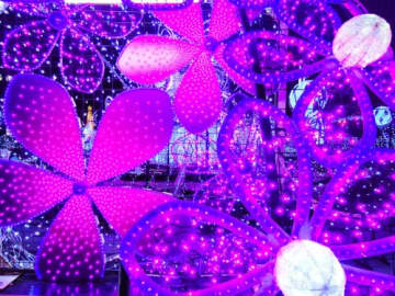 幻想的な光に包まれたミニトレイン★「ファンタジアトレイン」の特別体験を楽しもう！【11月29日・30日/エイスクエア】