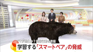 「こんなデカいの見たことない」400キロ級“巨大グマ”に老練ハンター驚き…わな見破る高い学習能力の「スマートベア」も増加