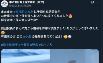 巡視船に“日本最小の鳥”？が降り立つ⇨「かんわいいいいー！」と話題。海保が写真を公開、「小鳥の種類教えて」