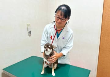 文系大卒でも獣医になれる？ 獣医学部ってどんなところ？ 院長先生に聞いた「獣医師への道のり」