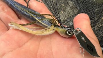 秋はやっぱり横方向の釣りが楽しい！足の速い魚には「無限ダダ流し」。ワイヤーベイトは絶対使って！