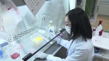 iPS細胞使った心不全治療…「心筋球」の大量注入で心臓再生、2年後の実用化目指す