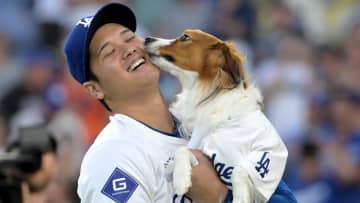 MLB公式がイラストで大谷翔平の偉業並べる　MLBからもらったデコピンがらみの賞もあるがケースの中ではなく大谷の肩にちょこん