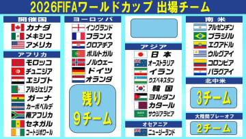 【サッカーW杯】ドイツ＆オランダが切符　し烈な欧州予選も佳境