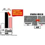 漢方薬「防風通聖散」に内臓脂肪抑制効果　近畿大学など発見