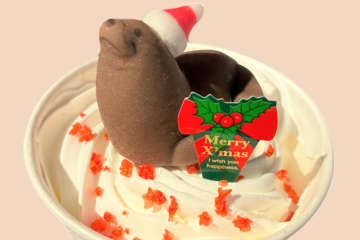 すみだ水族館のクリスマススイーツ、“ぷかぷか”オットセイマシュマロのホットココア＆金魚サンデー