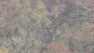 小型機が墜落し3人死亡、搭乗者か　佐賀から大阪・八尾へ向かう途中　福岡・八女市
