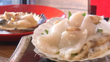 養殖ホタテとカキが大量死滅「生きた心地しない」生産者悲鳴…高い海水温でサイズ小さく高値に