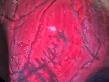 海岸に流れ着いた、重たい石　ライトを照らしたら…？「なんだこれ！」「初めて見た」