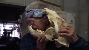 クマ19頭捕獲“伝説の猟師”は左目奪われた85歳…ハチミツをエサに「クマとの知恵比べ」北海道・岩見沢市は17年間人的被害なし