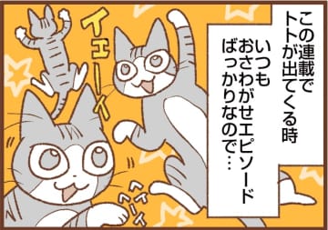 【吉川さん家の猫事情】#119話 謎カワイイにもほどがある！