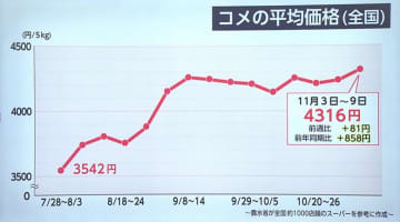 コメ価格「過去最高」5kg4316円に　割安な“複数原料米”の売れ行き伸びる　消費者「下がることはもうない」「パンで代用」あきらめも