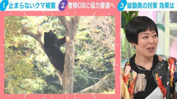 クマ対策で警察OBに協力要請も…「人間の常識が通用しないクマに同じような実力を出せるかは別の話」「野生動物専門のレンジャー部隊を」北海道出身の漫画家・瀧波ユカリが指摘