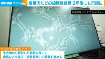 培養肉などの細胞性食品 2年後にも市場に