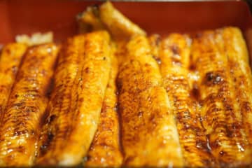 「やはり日本人は謝罪がうまい」との投稿に反響＝中国ネット「絶対わざとだろ」