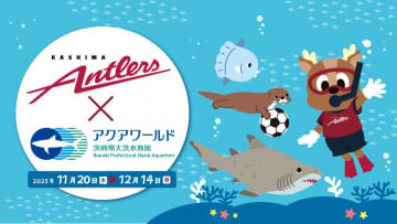J1鹿島、茨城県大洗水族館と初コラボ　限定グッズ販売　特別応援水槽も　20日から