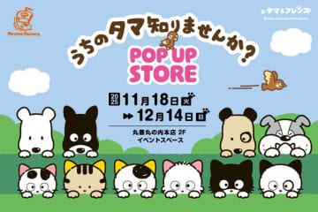 タマ＆フレンズのPOP UP STOREが丸善丸の内本店に登場！サンリオキャラクターズとのコラボグッズも必見