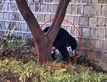 「最低限の礼儀守れ」ついに“排便”する姿まで　韓国の文化遺産一帯で外国人観光客の迷惑行為、大学教授が怒り