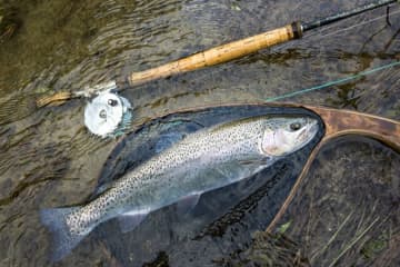 通年で渓流釣りが楽しめる！　山里を流れる「五十嵐川」のキャッチアンドリリース区間【新潟県三条市】