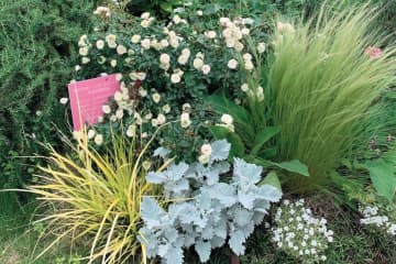 地域を彩る【ボランティア花壇】とは？調布市「ちょうふ花未来くらぶ」の取り組みを紹介