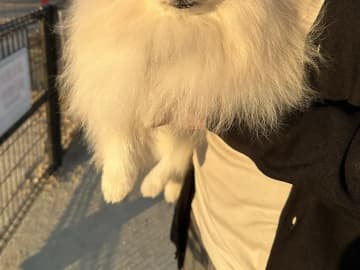 陰キャな犬がドッグランに行くと？　帰宅時の表情に「笑った」「疲労感がすごい」