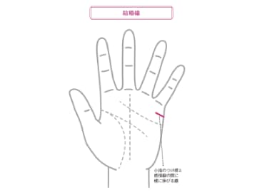 結婚線の数は必ずしも結婚する人の数ではない！結婚線の数が意味するのは！？【手相の教科書】