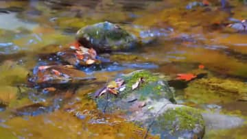 秦嶺山脈の初冬、詩情あふれる彩り豊かな景観　中国・陝西省洋県