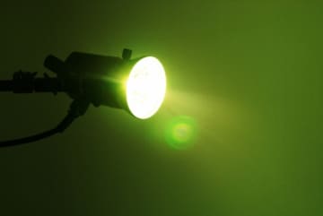 大手事務所への移籍で映像作品の活動に力を入れそうな市川團子