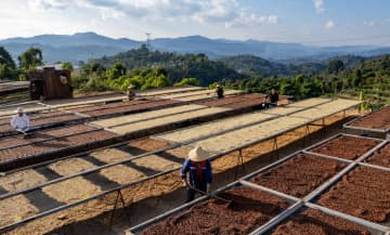 1杯のコーヒーから知る、中国市場の潜在力