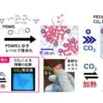 CO2を吸収してプラスチックに変わるゴム　岐阜大学など発明