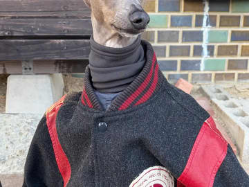 寒がりの愛犬に飼い主の服を着せたら…　まさかの姿に「イケメン」「かっこよすぎ」