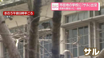 市街地の学校に「サル」出没　校舎を壁伝いに...逃走