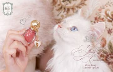 Peonyから新作リップグロス登場♡潤いとツヤを叶える全10色